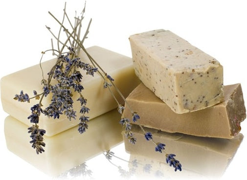 Splendor Natural Soap Exfoliant Set - Soap Exfoliator Sampler Kit Variety Pack for Handmade Cosmetics Bath & Body Scrubs, Masks, Bath Bombs & More DIY - Splendor Santa Barbara