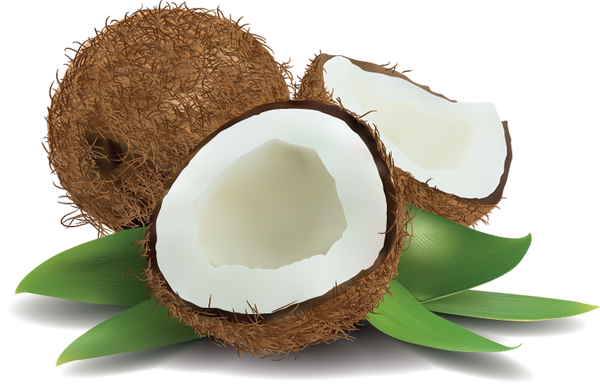 Sandalwood Rose Coconut Oil Face & Body Bar Soap Handmade USA, Vegan, Natural, Moisturizing. - Splendor Santa Barbara