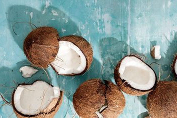 Splendor Santa Barbara Is Kookoo For Coconuts: Fact or Fiction?