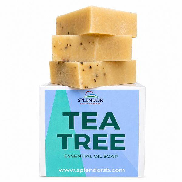 Splendor Tea Tree Soap Bar – (10.5 oz) Handmade Cold Process Natural Face & Body Soap with Eucalyptus & Peppermint – Vegan, Moisturizing, Gentle Cleanse –with Shea Butter - Splendor Santa Barbara