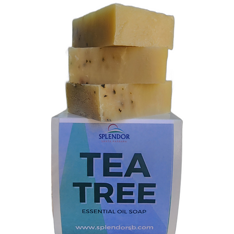 Splendor Tea Tree Soap Bar – (10.5 oz) Handmade Cold Process Natural Face & Body Soap with Eucalyptus & Peppermint – Vegan, Moisturizing, Gentle Cleanse –with Shea Butter - Splendor Santa Barbara